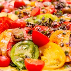 Green Plate Catering