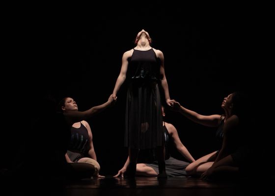 Camden Opera House by null