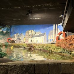 Galway Atlantaquaria
