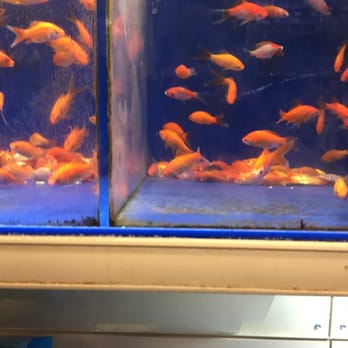 Petsmart 19 Photos 40 Reviews Pet Stores 9721 Ne Cascade