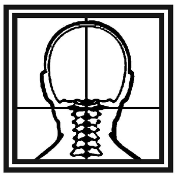 West Seattle Neighborhood Chiropractic - Atlas Orthogonal Technique - Chiropractors Near Me - Seattle, Washington West Seattle Neighborhood Chiropractic - Atlas Orthogonal Technique - Chiropractors Near Me - Seattle, Washington