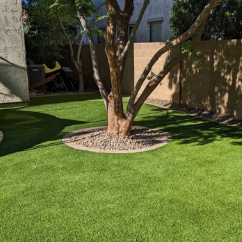 Always Green Turf - Artificial Turf Near Me - Mesa, Arizona