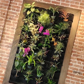 Fete - Flower wall decor - New American Near Me - Honolulu, Hawaii