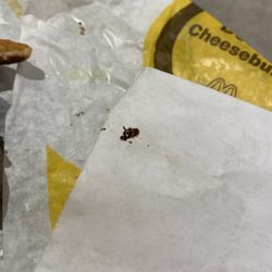 Don't get the burgers they're made with rat shit.