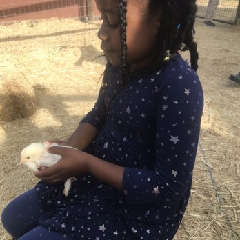 Impossible Acres Farm - Pick Your Own Farms Near Me - Davis, California
