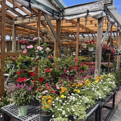 Green Thumb Nursery
