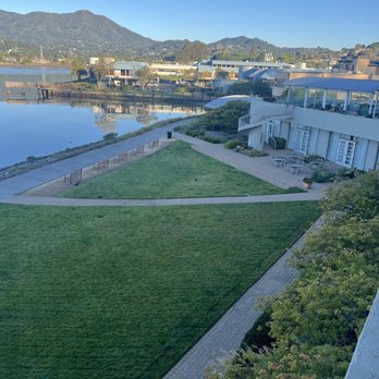 Acqua Hotel - View from our room - Hotels Near Me - Mill Valley, California