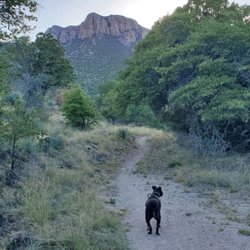 Huachuca Mountain Handyman Services