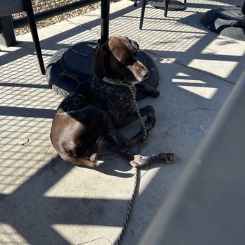 Starbucks - Hanging at the outdoor seating area - Coffee & Tea Near Me - Broomfield, Colorado Starbucks - Hanging at the outdoor seating area - Coffee & Tea Near Me - Broomfield, Colorado