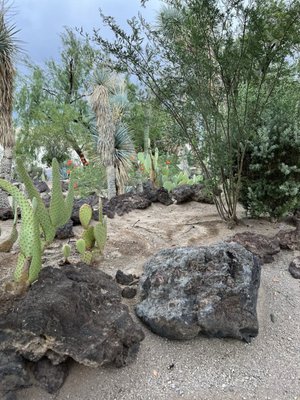 Ethel M Botanical Cactus Garden by null