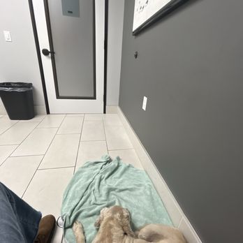 Inland Valley Veterinary Specialists & Emergency Center - My pet waiting for his exam. - Veterinarians Near Me - Upland, California Inland Valley Veterinary Specialists & Emergency Center - My pet waiting for his exam. - Veterinarians Near Me - Upland, California