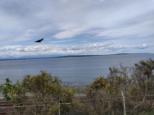 Carkeek Park by null