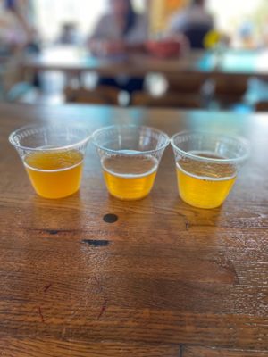 Raíces Brewing Company by null