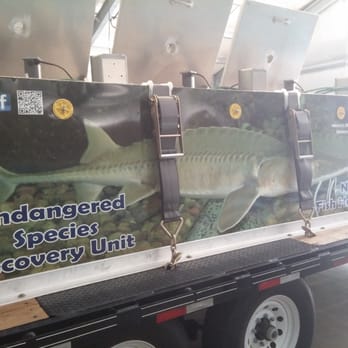 Neosho National Fish Hatchery - The truck they use to stock the sturgeon. - Landmarks & Historical Buildings Near Me - Neosho, Missouri Neosho National Fish Hatchery - The truck they use to stock the sturgeon. - Landmarks & Historical Buildings Near Me - Neosho, Missouri