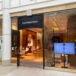 Introstem Spa