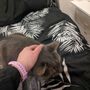 Photo of Fluffybutts Belltown