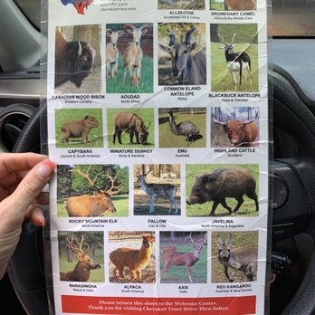 Cherokee Trace Drive Thru Safari - Parks Near Me - Jacksonville, Texas