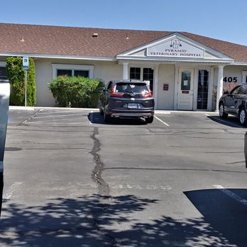 Pyramid Veterinary Hospital - The hospital - Veterinarians Near Me - Sparks, Nevada Pyramid Veterinary Hospital - The hospital - Veterinarians Near Me - Sparks, Nevada