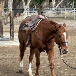 Country Trails and Riding School - Clifford