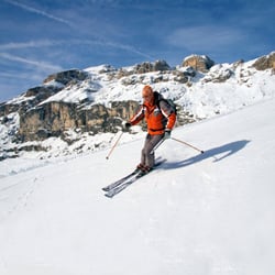 Collett's Mountain Holidays