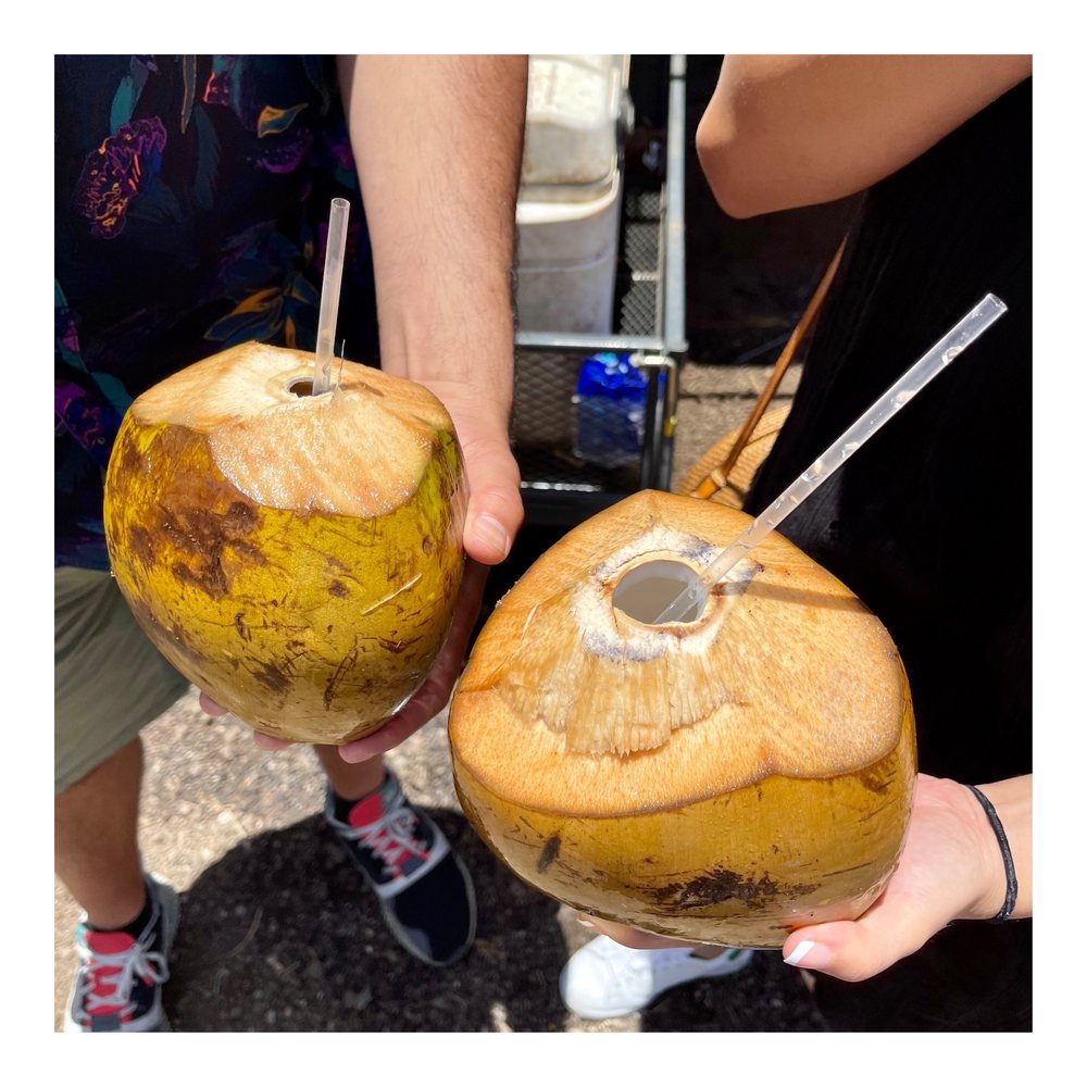 KAHUKU LAND FARMS STAND 506 Photos & 165 Reviews 56781 Kamehameha