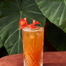 Aloha Garden Party
