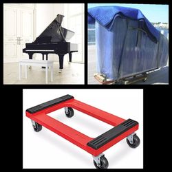 Expert Movers