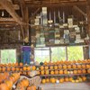 Katie's Pumpkin Barn gift card