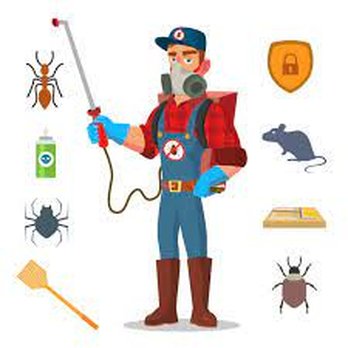 Gemini Pest Control - Pest Control Near Me Gemini Pest Control - Pest Control Near Me