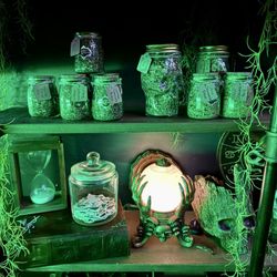 Bones and Botanicals - Witchcraft decor