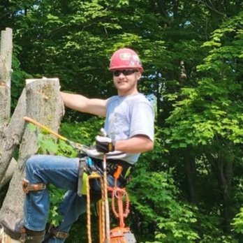 Up North Tree Care - Tree Services Near Me - Manistee, Michigan Up North Tree Care - Tree Services Near Me - Manistee, Michigan