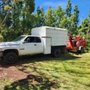 Paradise Tree Service