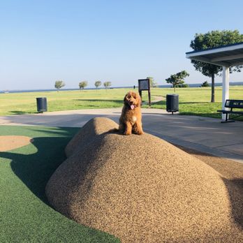 Sit Means Sit - Pet Training Near Me - Edmond, Oklahoma