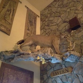 Vintage Tavern - Big cat in the entrance lobby. - Southern Near Me - Suffolk, Virginia Vintage Tavern - Big cat in the entrance lobby. - Southern Near Me - Suffolk, Virginia