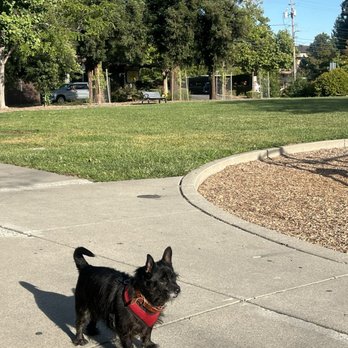 Adobe Park - Parks Near Me - Castro Valley, California