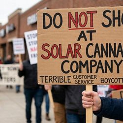 Solar Cannabis