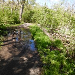 Dublin Kiwanis Riverway Park - Help I have to play rock tag to get through the water without getting wet.