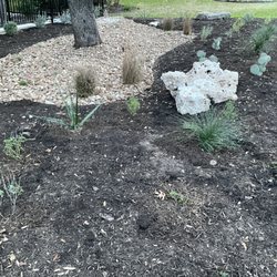 Cherry Creek Landscaping