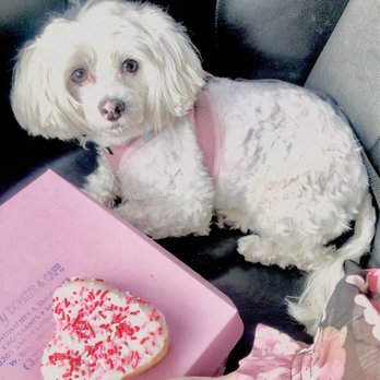 Tasty Donuts & Cafe - Pink Box of Tasty Donuts - Donuts Near Me - West Hollywood, California Tasty Donuts & Cafe - Pink Box of Tasty Donuts - Donuts Near Me - West Hollywood, California