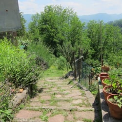 Yoga Path