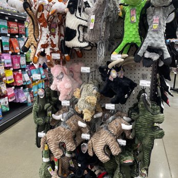 Hollywood Feed - Fun dog toys! - Pet Stores Near Me - Akron, Ohio