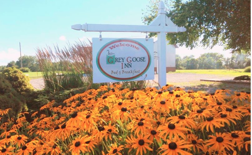 GREY GOOSE INN - Updated January 2025 - 12063 Overturf Dr, Moravia