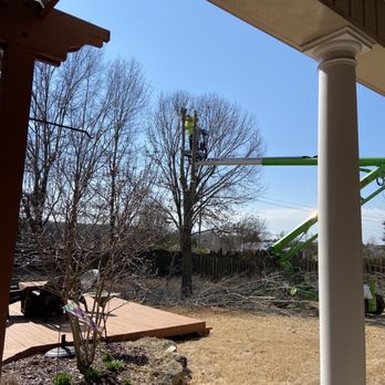 North Alabama Tree Sevice - Tree Services Near Me - Harvest, Alabama North Alabama Tree Sevice - Tree Services Near Me - Harvest, Alabama