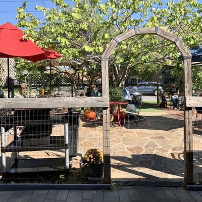 The Root Cafe by null