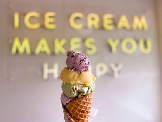 Molly Moon's Homemade Ice Cream Redmond by null