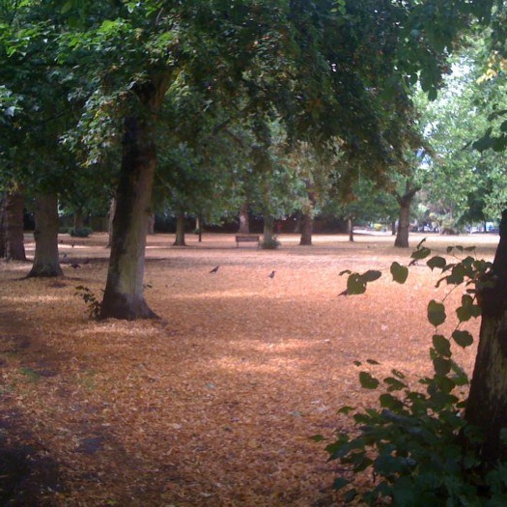 Ealing Common - Parks Near Me - London, XGL