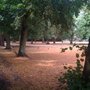 Photo of Ealing Common