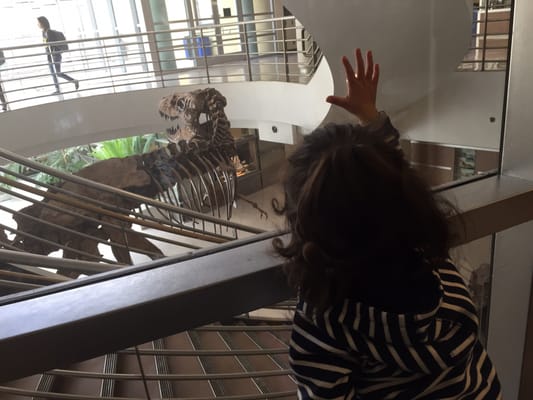 University of California Museum of Paleontology by null