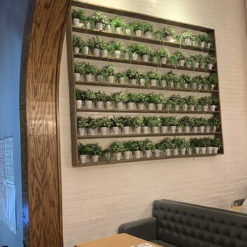 Prince Tea House - Cute lil succulent wall - Tea Rooms Near Me - Flushing, New York