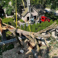 Lowney's Tree Service - Big tree removal jobs require big crews and big machinery.